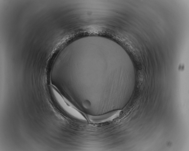 X0000098210496200805151257