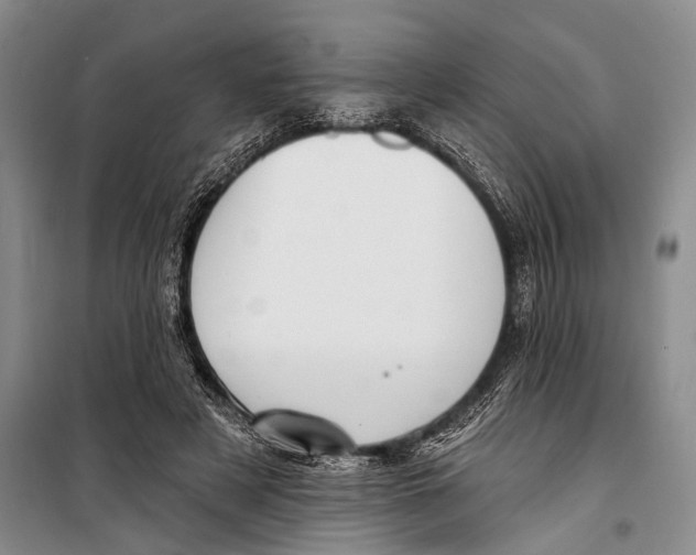 X0000098210497200805151257