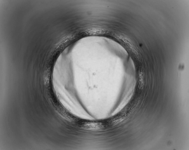 X0000098210499200805151256
