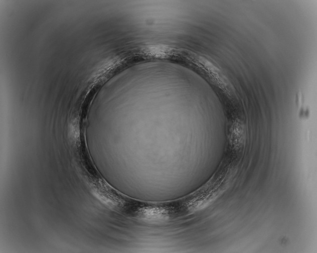 X0000098210500200805151256