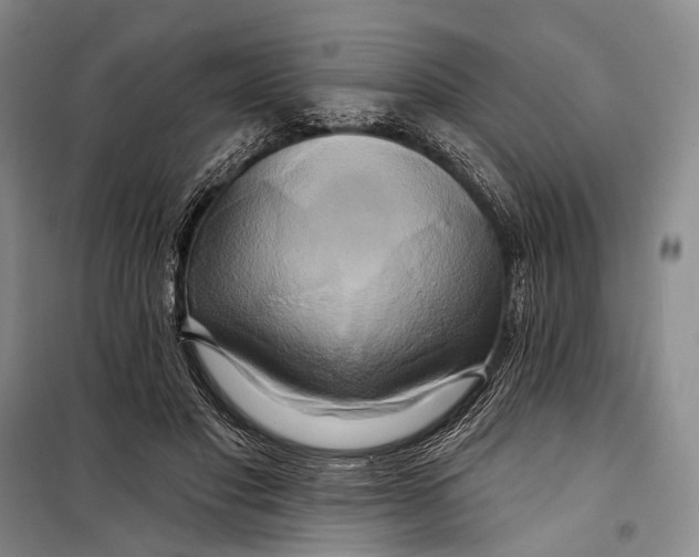 X0000098210501200805151256