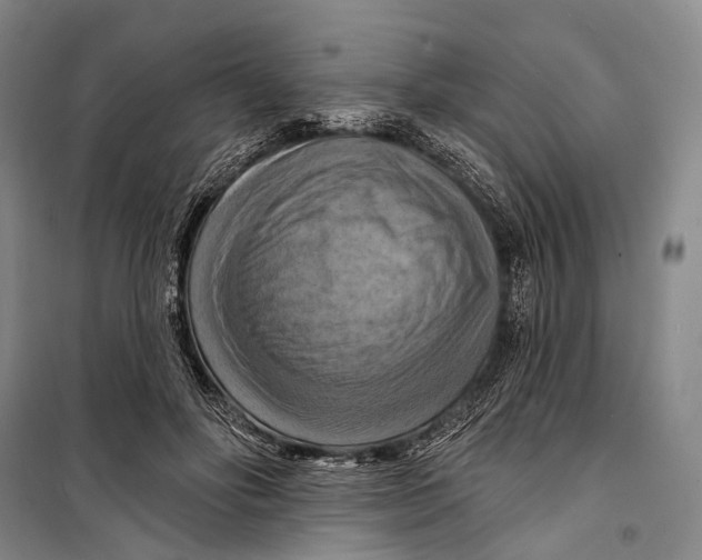 X0000098210502200805151256