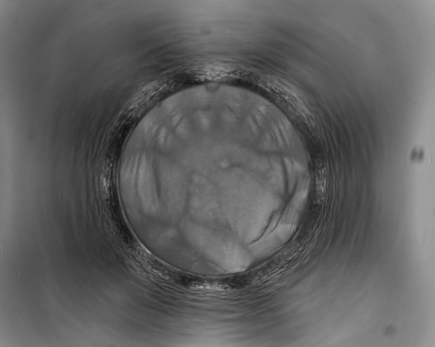 X0000098210503200805151256