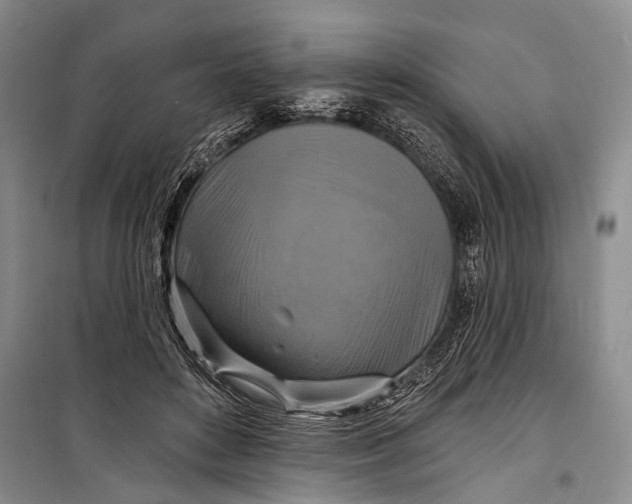 X0000098210504200805151256