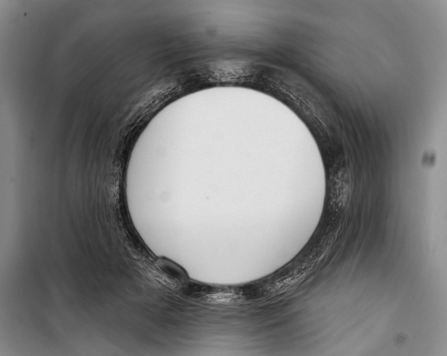 X0000098210505200805151256