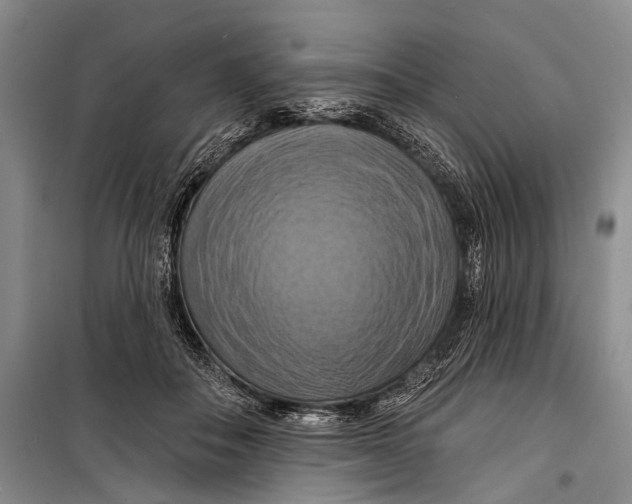X0000098210506200805151256