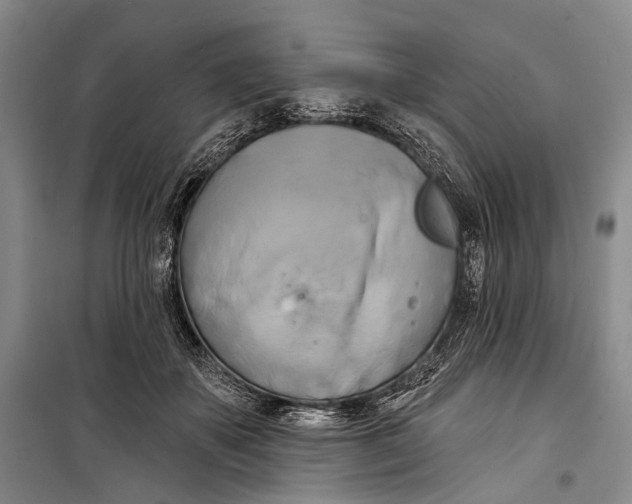 X0000098210507200805151256