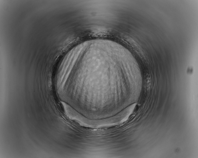 X0000098210508200805151256