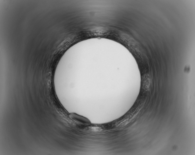 X0000098210509200805151256