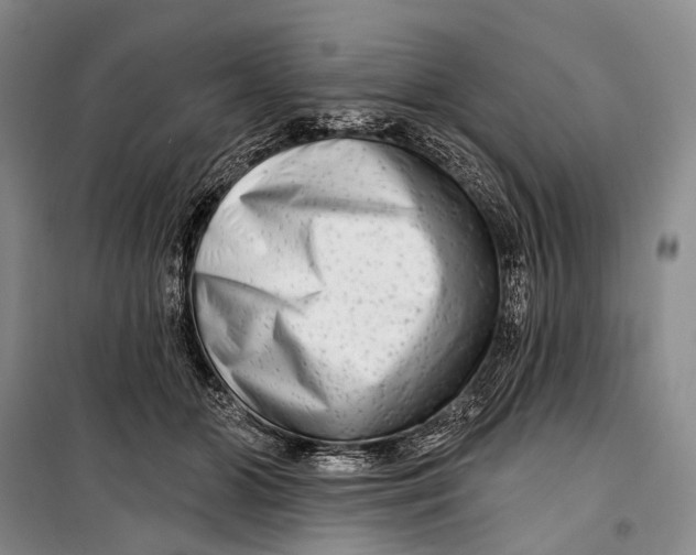 X0000098210510200805151256