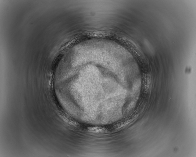 X0000098210511200805151256