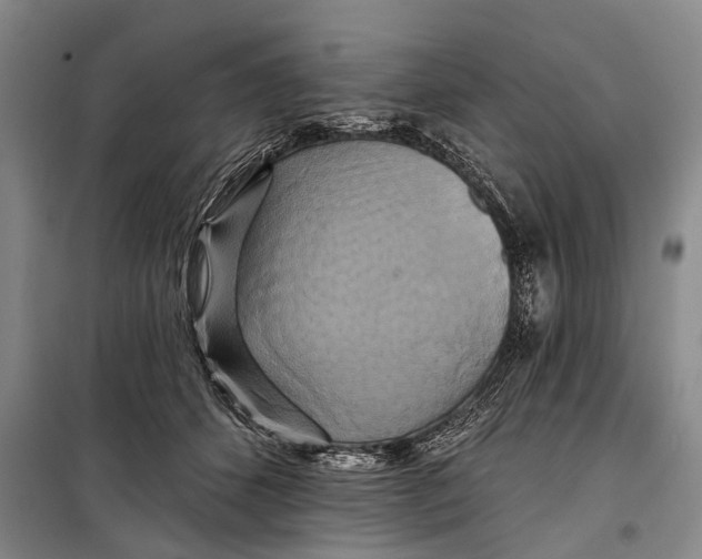 X0000098210512200805151256