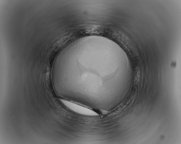 X0000098210513200805151256