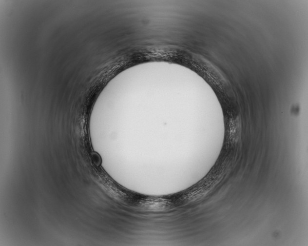 X0000098210514200805151256