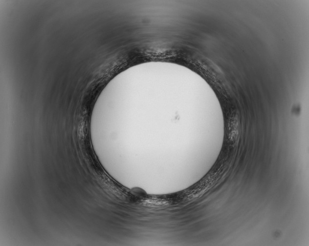 X0000098210515200805151256