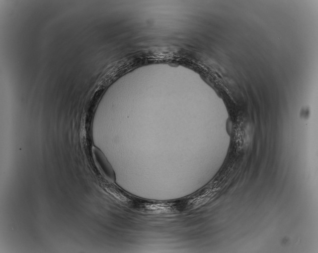 X0000098210516200805151256