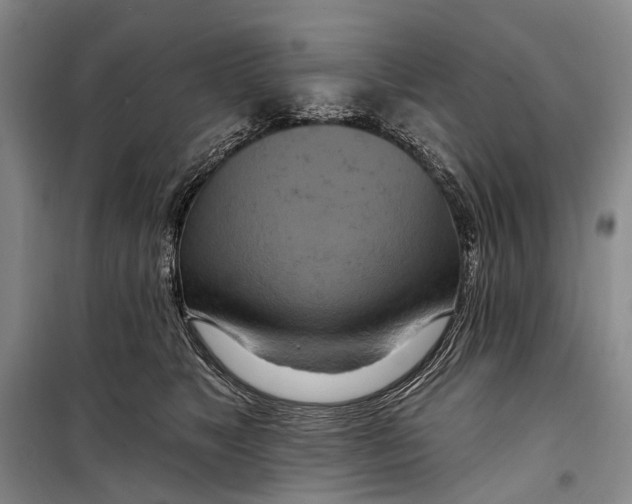 X0000098210517200805151256