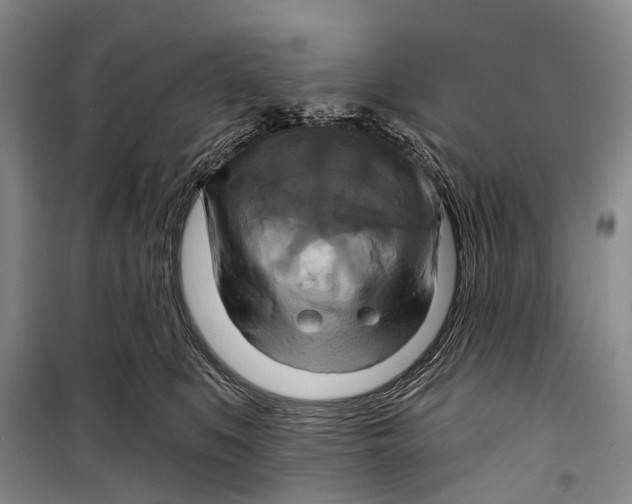 X0000098210519200805151256