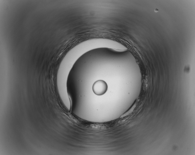 X0000098210520200805151256