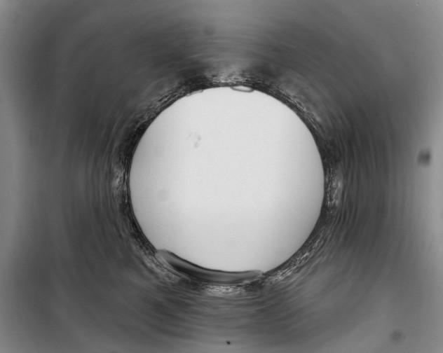 X0000098210521200805151256