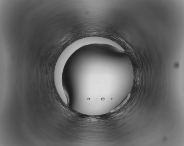 X0000098210523200805151256