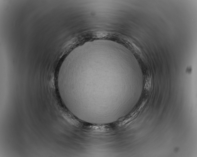 X0000098210524200805151256
