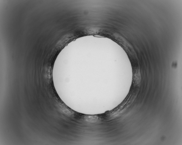 X0000098210525200805151256