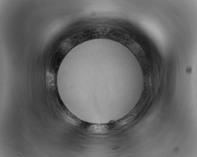 X0000098210526200805151256