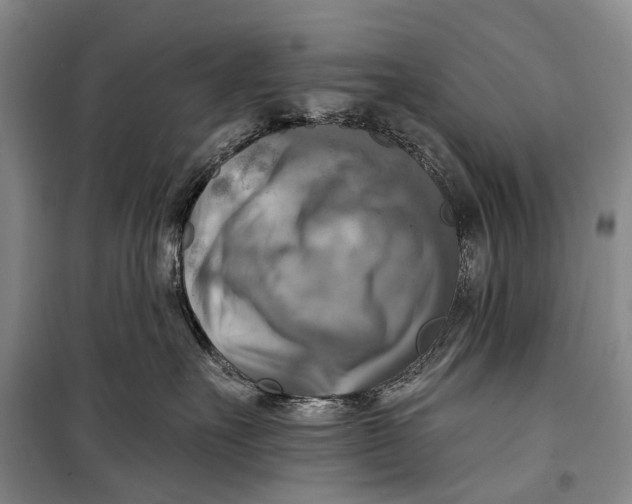 X0000098210527200805151256