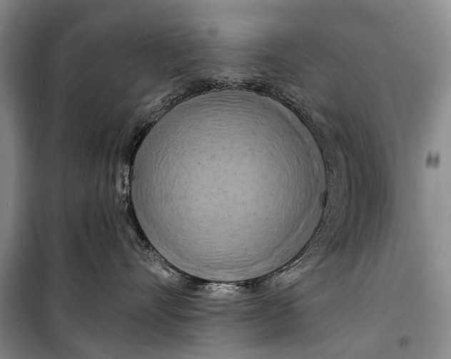 X0000098210528200805151256