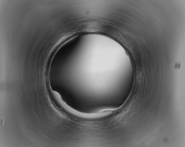 X0000098210530200805151255