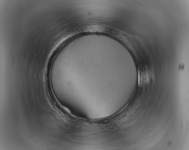 X0000098210531200805151255