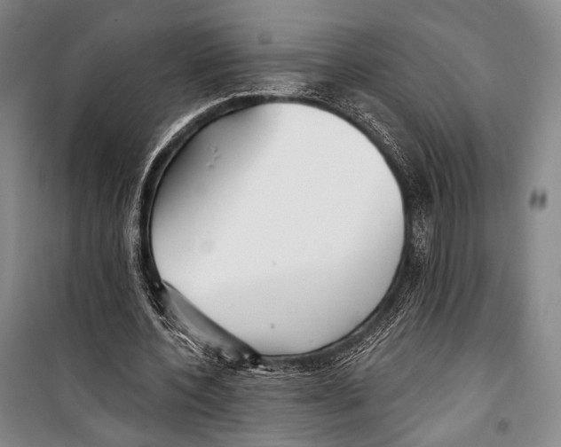X0000098210532200805151255