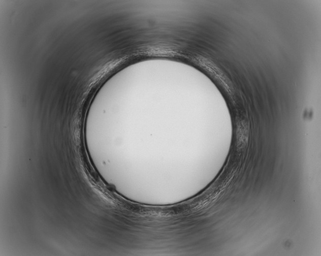 X0000098210533200805151255