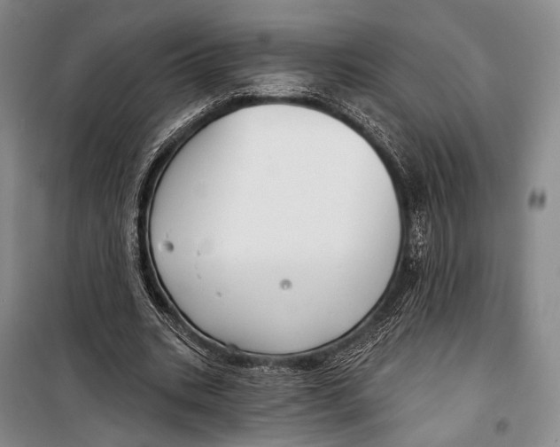 X0000098210535200805151255