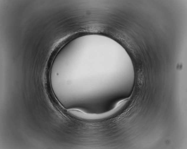 X0000098210536200805151255