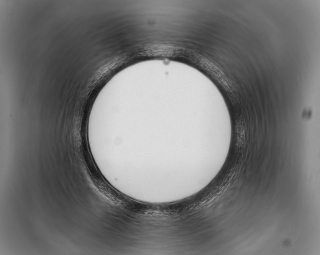 X0000098210538200805151255
