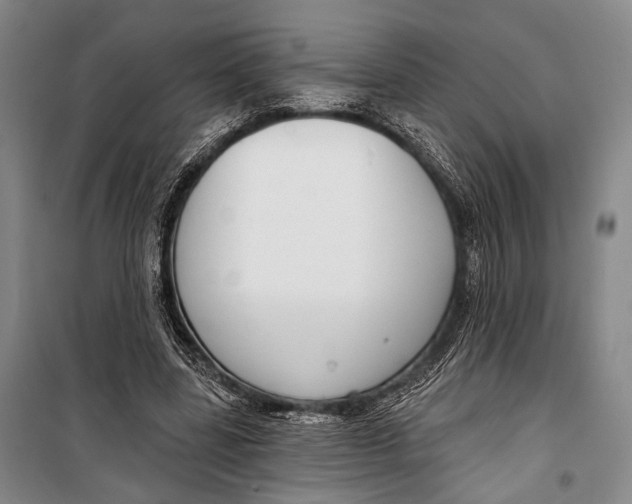 X0000098210539200805151255