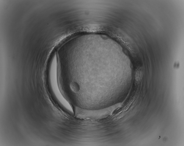 X0000098210540200805151255