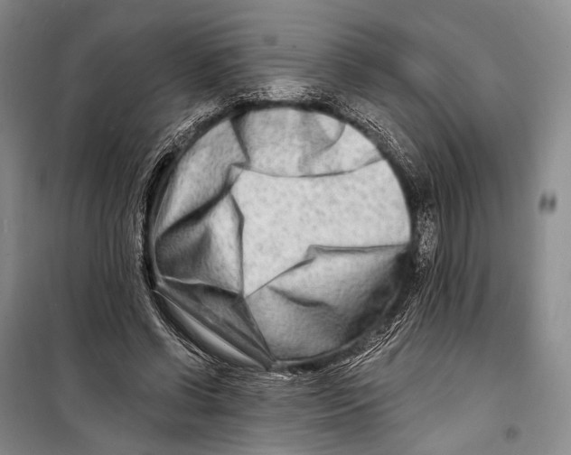 X0000098210542200805151255