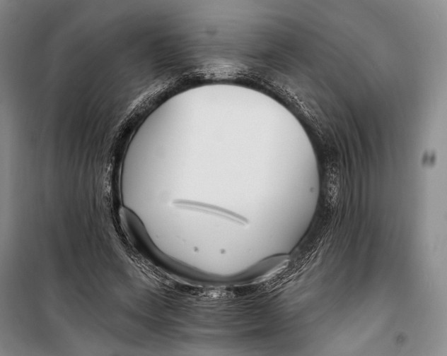 X0000098210543200805151255