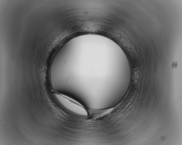 X0000098210544200805151255