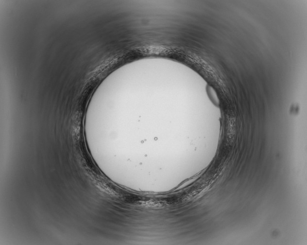 X0000098210545200805151255