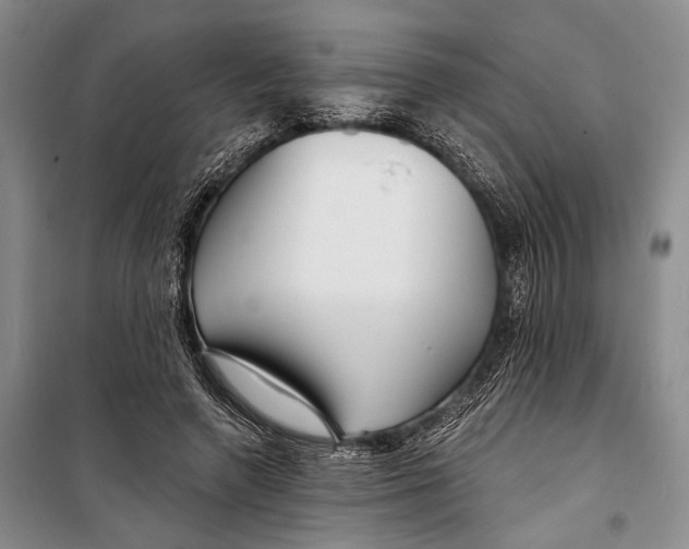 X0000098210546200805151255