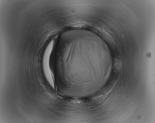 X0000098210547200805151256
