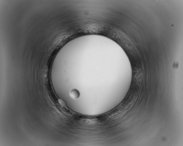 X0000098210548200805151256