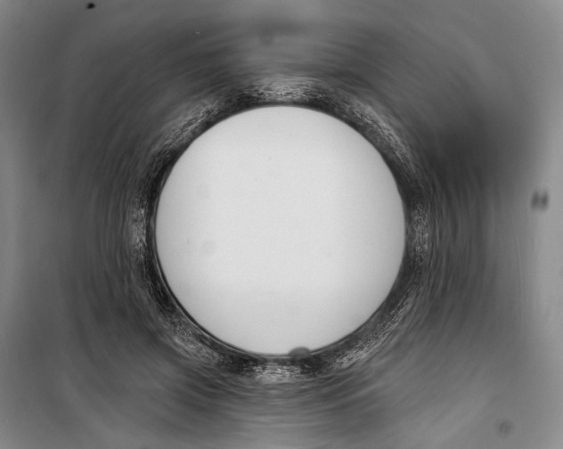 X0000098210549200805151256