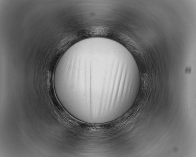 X0000098210550200805151256