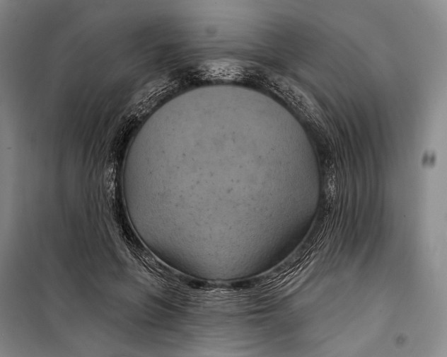 X0000098210551200805151256