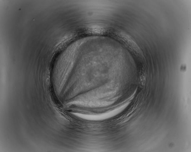 X0000098210552200805151256